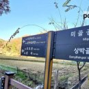 신두왕로 네이버블로그