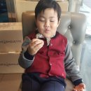 지혜샘유치원 이미지