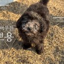 토리켄넬 이미지