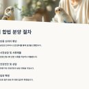 금강동물병원 | 🐦 희귀조류 입양 절차부터 비용까지｜합법 분양을 위한 준비 가이드