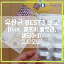 유산균 BEST 3 비교(feat. 엘포비플로라/셀티아이/드시모네)