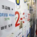 온투