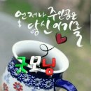 밝히기 싫은 댄스 레슨 중퇴 사연 이미지