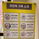 아잉독 애견카페 이미지