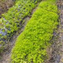 황토한옥펜션 | 김천펜션 김천한옥황토펜션｜경북펜션 감성 그대로