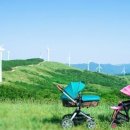 리안목장 이미지