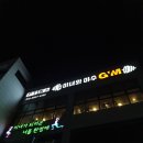 호서대입구 | 천안 헬스장 신부동헬스 안서동pt 미녀와야수짐 안서점