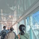 돈타령 | 개같이 망한 중궈 여행 후기-패키지 절망편