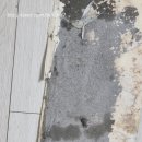 현대쎈트럴파크 이미지