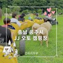 제이제이 어린이 수영장 | 아이들이 놀기 좋은 캠핑장, 공주 JJ 오토캠핑장, 동물 먹이주기, 깡통 기차, 물놀이, 모래놀이, 그림...