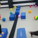 등촌태권도 이미지