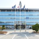 완도11호 이미지