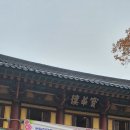연지곤지주단