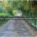 마산랜드부동산 현동공인중개사사무소 | No.[매도토-현동-119]-창원시 마산합포구 현동(묘촌) 농지 매매안내 합니다.