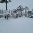 신흥레져타운 이미지