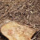 은평-057 이미지