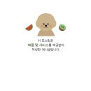 드보라의원 이미지