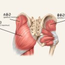 CUBA FIT(쿠바핏) 이미지