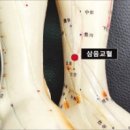 한동하한의원 이미지