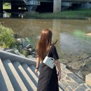 디차이나 | 디올 디조이 스몰 라떼 후기 / 약간의 착장을 곁들인