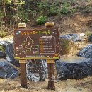 삼척동자 유아숲체험원 이미지