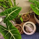 나에게 온날 이미지