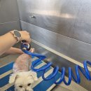 낄낄아놀자 이미지