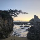 국도13호선 소나무길 | [7번국도 드라이브] 삼척~하조대 동해 바다 여행 | 해돋이 실패했지만 고민 싹 사라진 하루