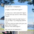 W14. 대구 모니카블랑쉬 드레스샵 워킹 본식 웨딩드레스 1차 드레스 피팅후기