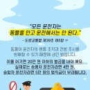 바론동물병원 이미지