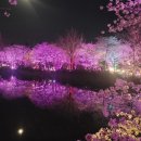 골정지 티스토리