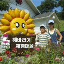 부평2리 이미지