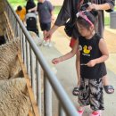 지율목장 이미지