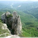 6월19일 춘천 사북면 용화산(878M) 정기산행 알림 이미지