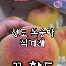 ６６번중매인