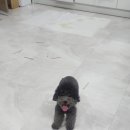 에코르아파트 앞 이미지