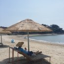 증도해뜨는 이미지