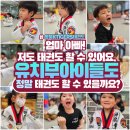 짱태권도 | 옥정태권도 옥정동태권도 옥정유치부태권도 옥정동유치부태권도 옥정유아태권도 옥정유치부태권도전문반