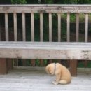 송파새날동물병원 이미지