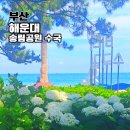 부산 수국 개화 시작한 해운대 송림공원 꽃구경 후기