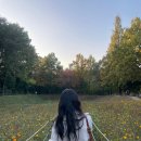 하늘마루어린이공원 (옥외1) | 올림픽공원 들꽃마루 코스모스·댑싸리 10월 축제 가볼만한 곳