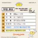 힘찬에너지 태양광발전소 이미지