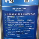 부천시청역 미용실 살롱드오벨로 톤다운 염색 추천 후기 (수아디자이너)