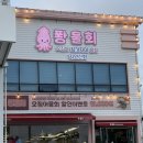 독도물회 | 포항 물회 맛집 퐝물회 오징어물회 독도새우 방문후기
