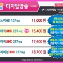 헬로예나 이미지