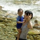 윤우네민박 | 강원 영월 법흥계곡 솔밭캠프장 2