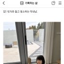 오마틸라 이미지