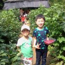 녹원유치원 이미지