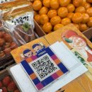 사계절청과 이미지