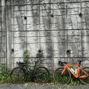 평림수정 이미지